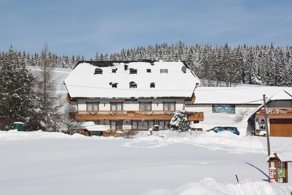 Pension Altvogtshof Eisenbach  Exterior foto
